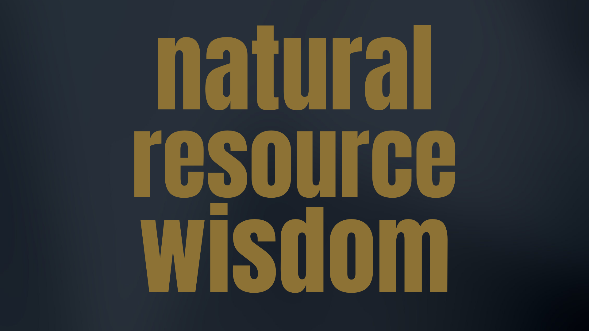 wisdom for natural resource investors