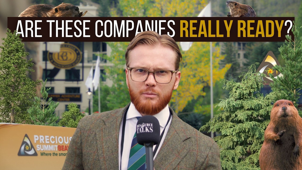 I Asked 26 Junior Mining CEOs If They Can Survive a Crash
