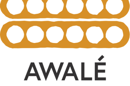 awalé resources ceo interview