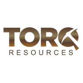 An IOCG, and a Copper Porphyry Target for $13M